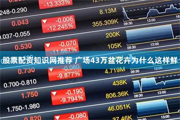 股票配资知识网推荐 广场43万盆花卉为什么这样鲜