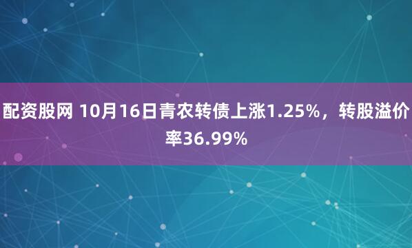 配资股网 10月16日青农转债上涨1.25%，转股溢价率36.99%